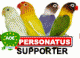 http://www.ornieuropa.com/red%20parrot%20factory/birdboard-personatus.gif