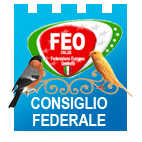 L'avatar di Consiglio Direttivo Federale FEO